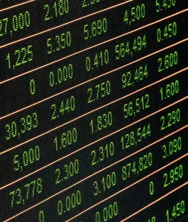 Kazdağları'nın Eteklerinden Toplanan Kuzugöbeği Mantarının Kilosu 1000 TL