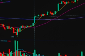 Japonya Merkez Bankası: Finansal İstikrar Sağlanıyor
